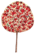 Libros del Árbol Rojo