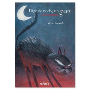 Digo de noche un gato
